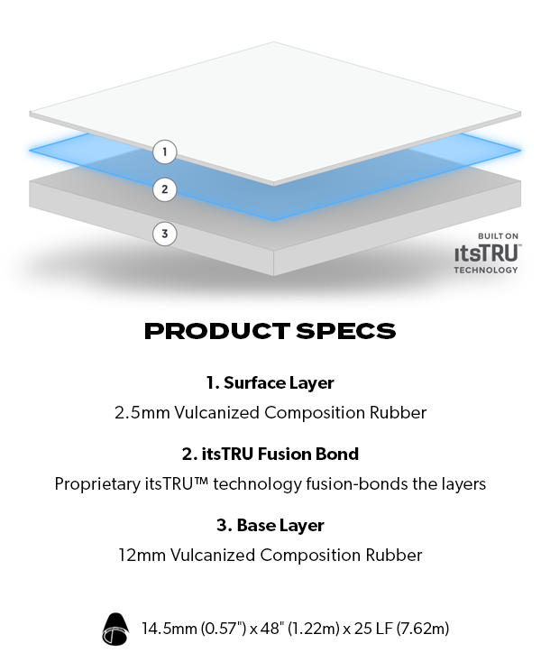 Ecore Performance Beast Plus product specs